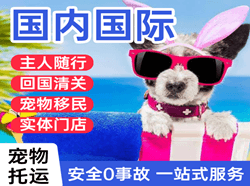 运城机场托运国际宠物托运 【国